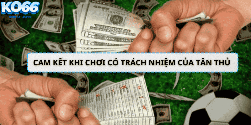 Cam kết khi chơi có trách nhiệm của tân thủ