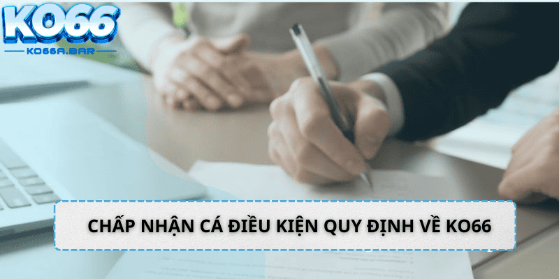 Chấp nhận các điều kiện quy định về KO66